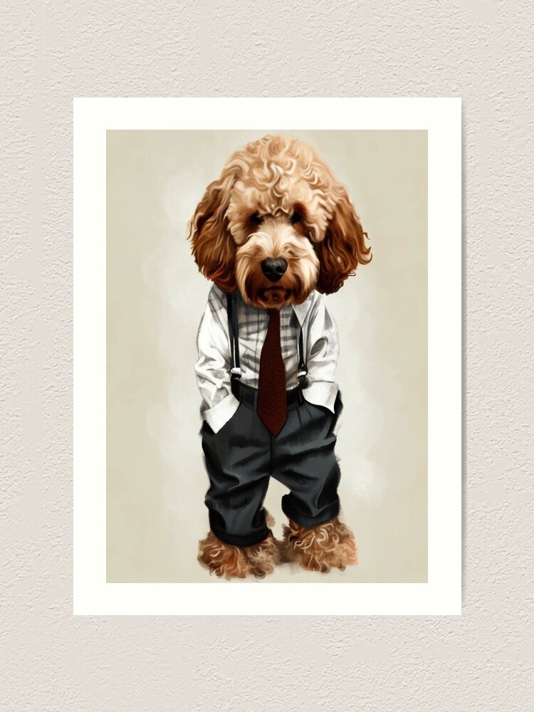 Cockapoo dressed up hotsell