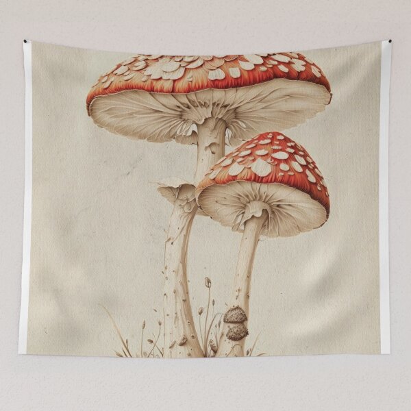 Item preview, Wall Art, Vintage style Fly Agaric Mushroom art, Mushroom poster, Mushroom illustration, Mushroom Art work, Mushroom print,  designed and sold by JacquiHall.