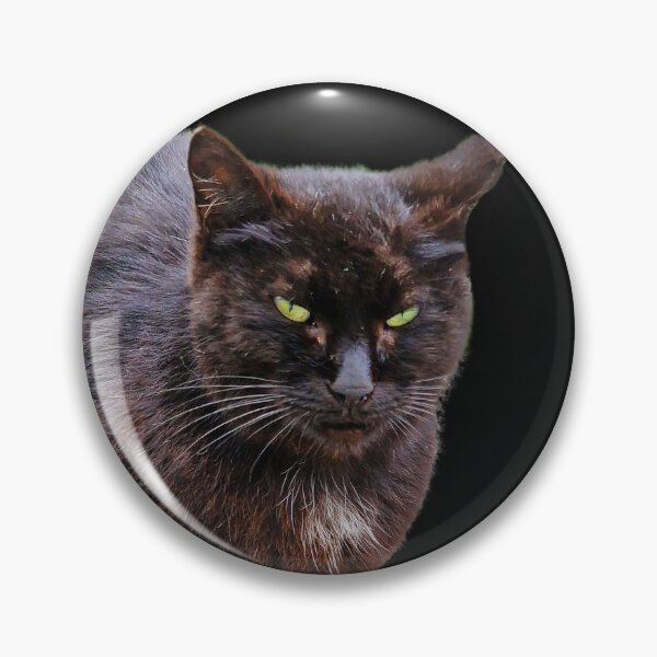 Item preview, black cat designed and sold by IgorKovalenko.