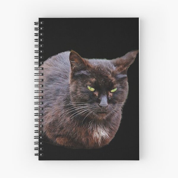 Item preview, black cat designed and sold by IgorKovalenko.