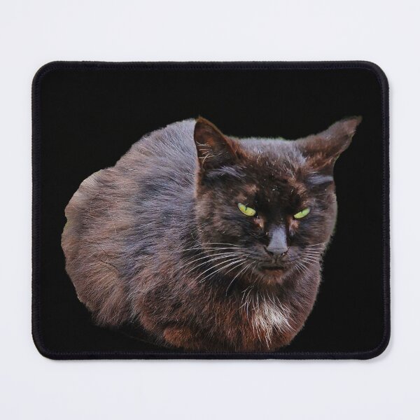 Item preview, black cat designed and sold by IgorKovalenko.