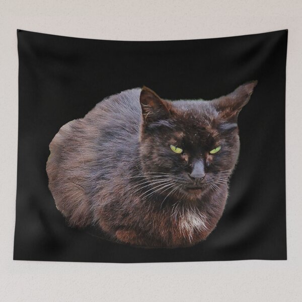 Item preview, black cat designed and sold by IgorKovalenko.