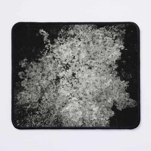Item preview, Down to the Orange mapple bw designed and sold by Jouko Lehto Photography.