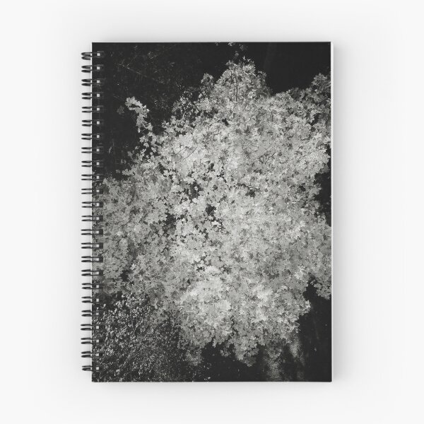 Item preview, Down to the Orange mapple bw designed and sold by Jouko Lehto Photography.