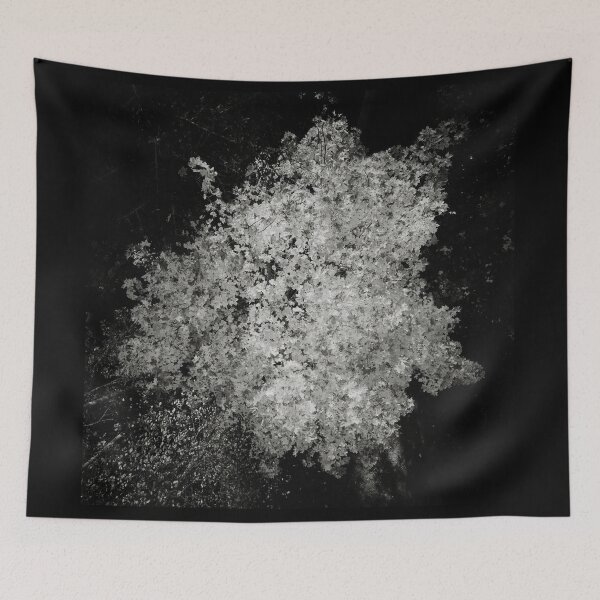 Item preview, Down to the Orange mapple bw designed and sold by Jouko Lehto Photography.
