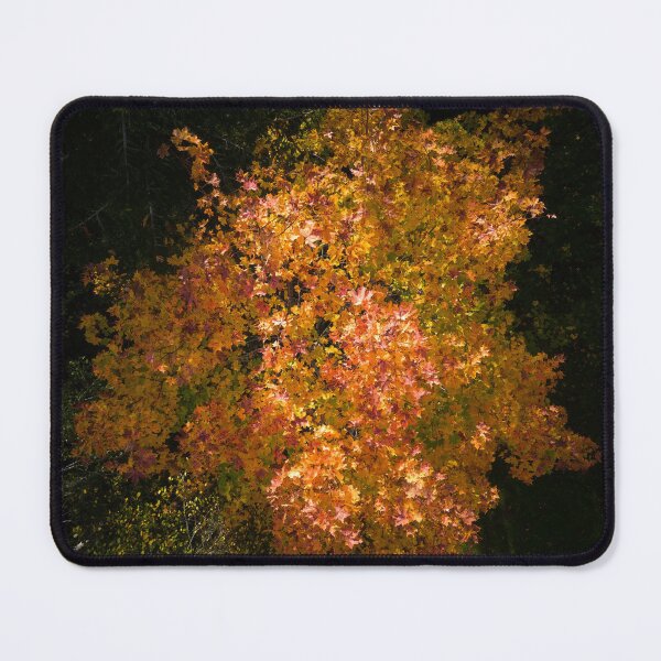 Item preview, Down to the Orange mapple designed and sold by Jouko Lehto Photography.