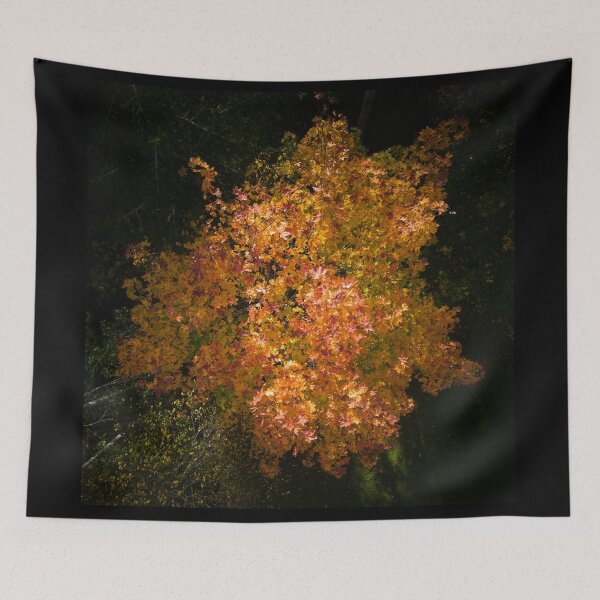 Item preview, Down to the Orange mapple designed and sold by Jouko Lehto Photography.