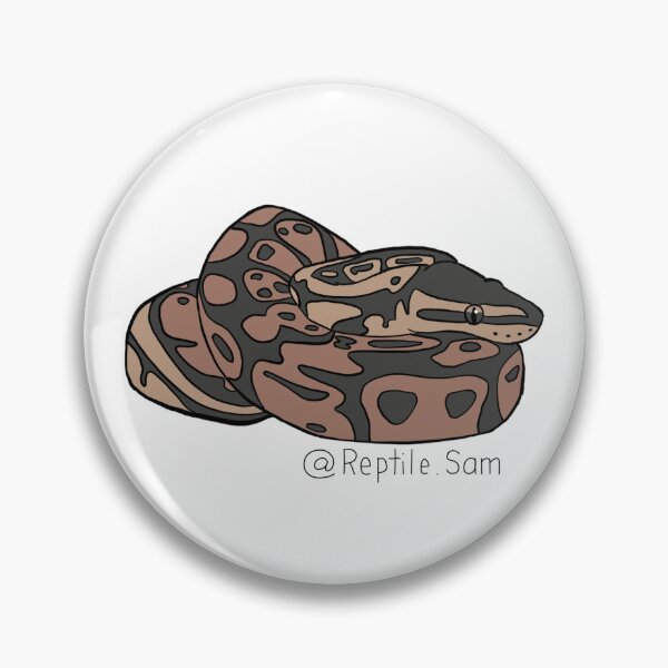 Item preview, Fern, Wild Type Ball Python designed and sold by ReptileSam.