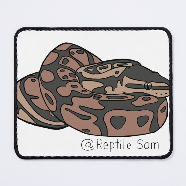 Item preview, Fern, Wild Type Ball Python designed and sold by ReptileSam.