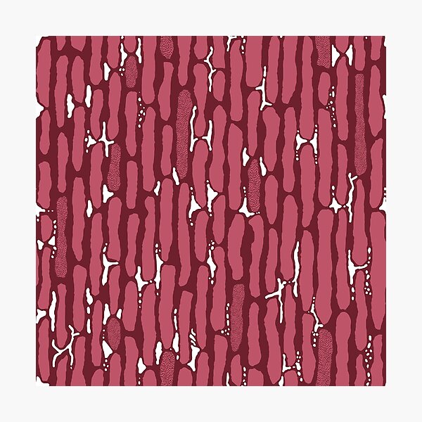 Item preview, Noodle Strips - Maroon designed and sold by Ili Dobi.