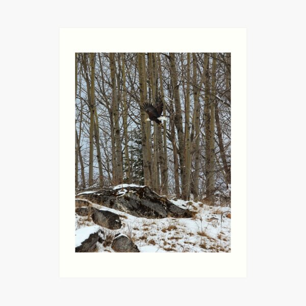 Majestic Monday Art Print