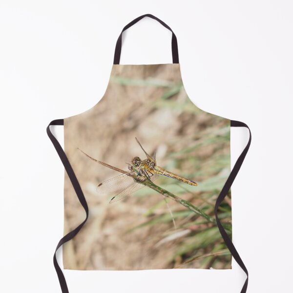 Item preview, Dragonfly landed on a branch. designed and sold by Syr'photographies.