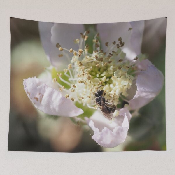 Item preview, Wild bee on bramble flower designed and sold by Syr'photographies.