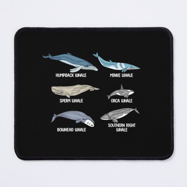 Item preview, Whales Species Underwater Animals Gifts Orca Whale designed and sold by DSWShirts.