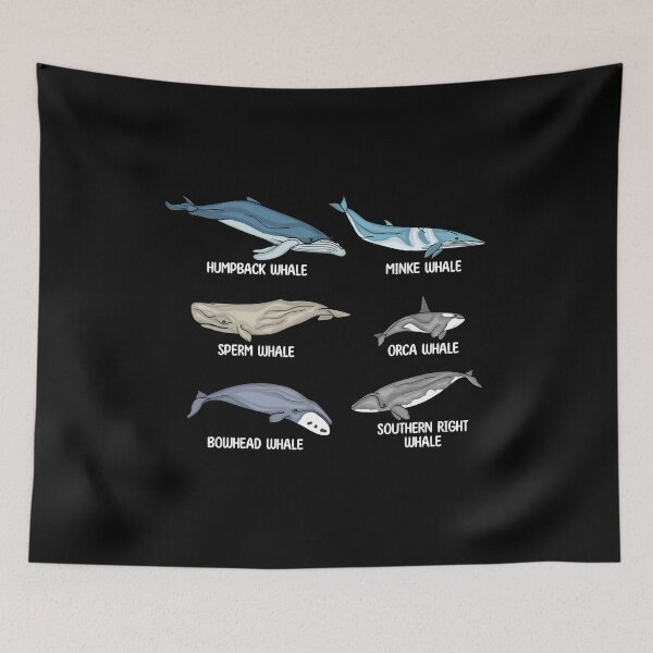 Item preview, Whales Species Underwater Animals Gifts Orca Whale designed and sold by DSWShirts.