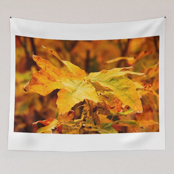 Item preview, Autumn Splendor designed and sold by vernonplatt.