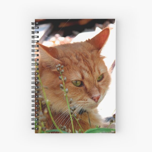 Item preview, orange cat by flowers designed and sold by Ethan1012.