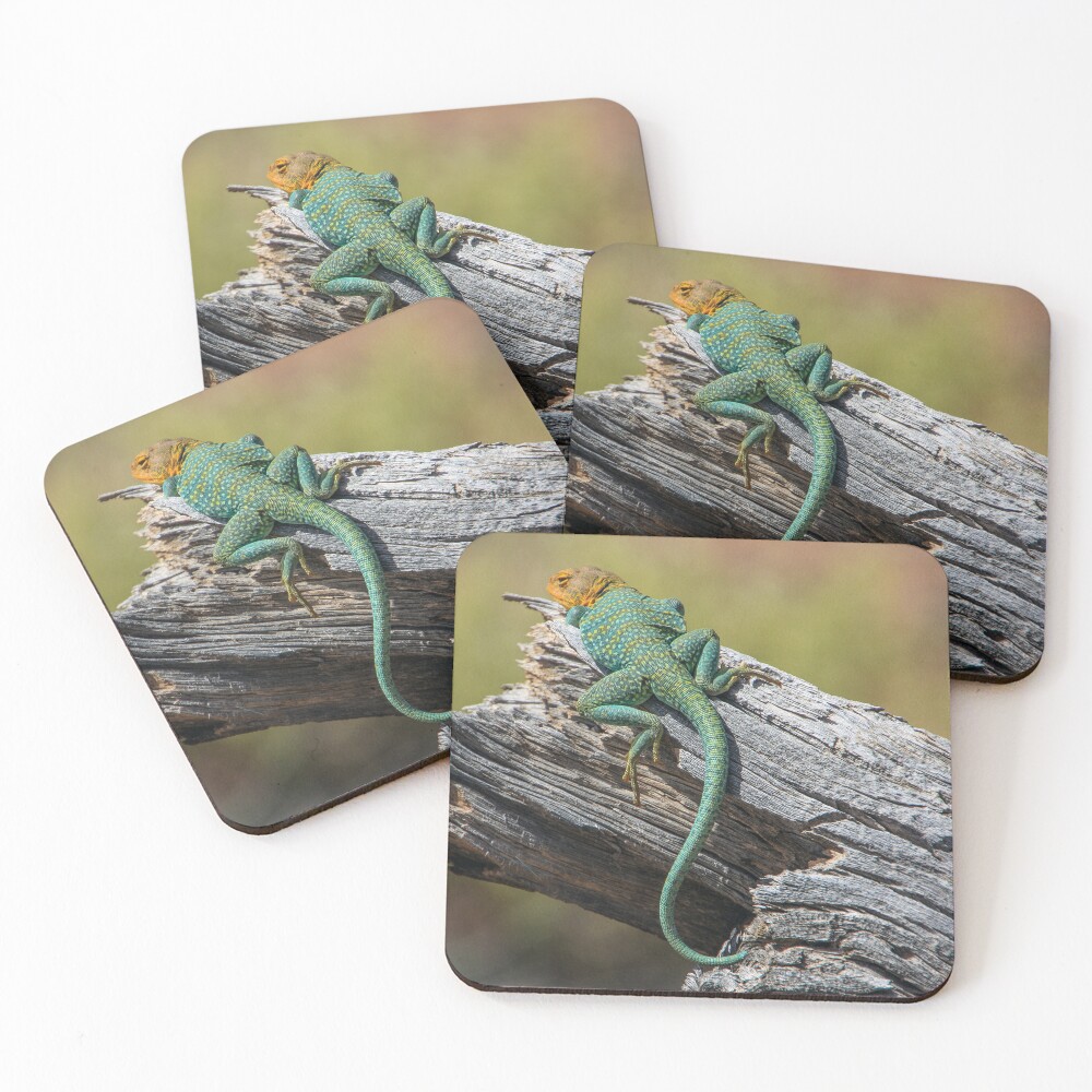 Item preview, Coasters (Set of 4) designed and sold by CarolM.