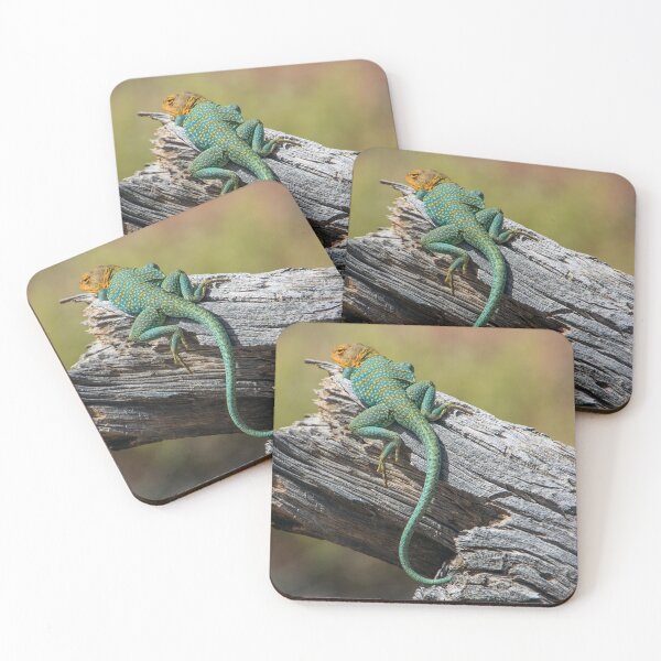 Item preview, Collared Lizard designed and sold by CarolM.