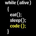 While Alive Eat Sleep Code Poster By Fancy Tshirts Redbubble