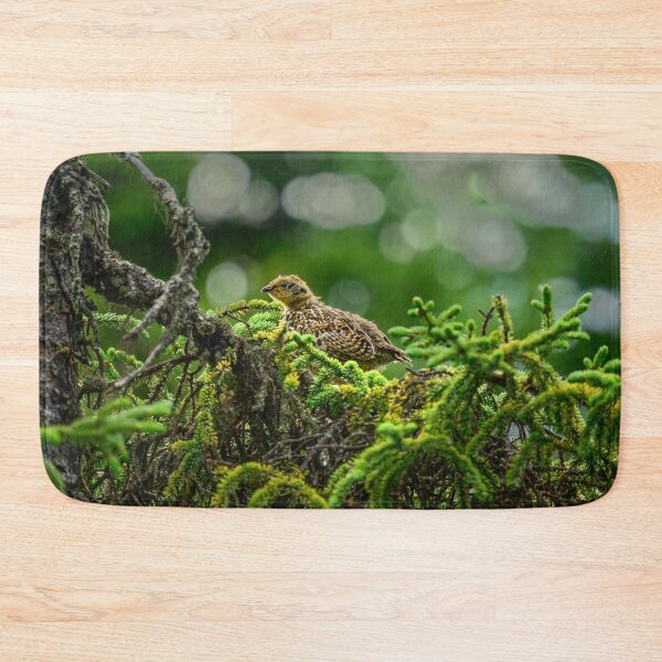 Item preview, Baby Spruce Grouse Chick - Kenai Peninsula, Alaska designed and sold by AlsknMommaBear2.