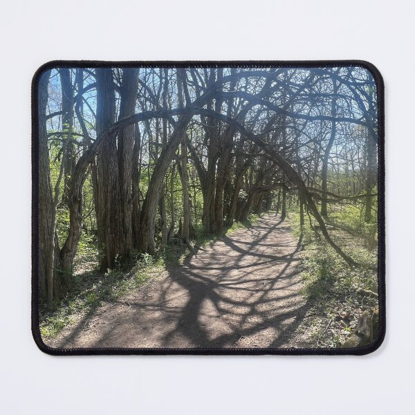 Item preview, Tree Tunnel designed and sold by Abeink1030.