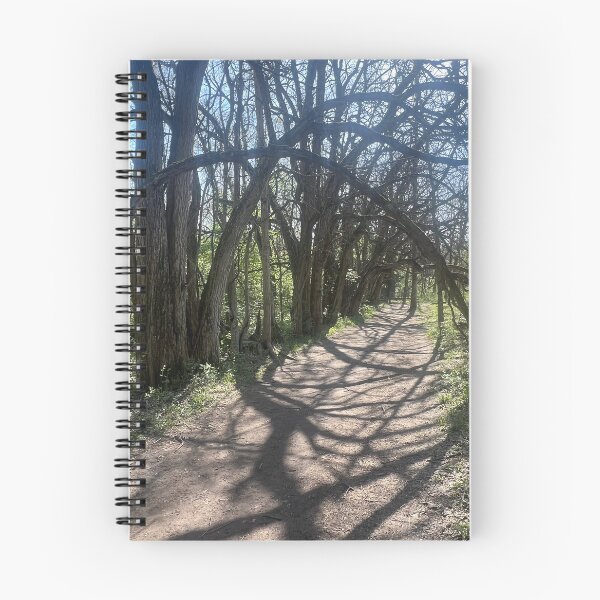 Item preview, Tree Tunnel designed and sold by Abeink1030.