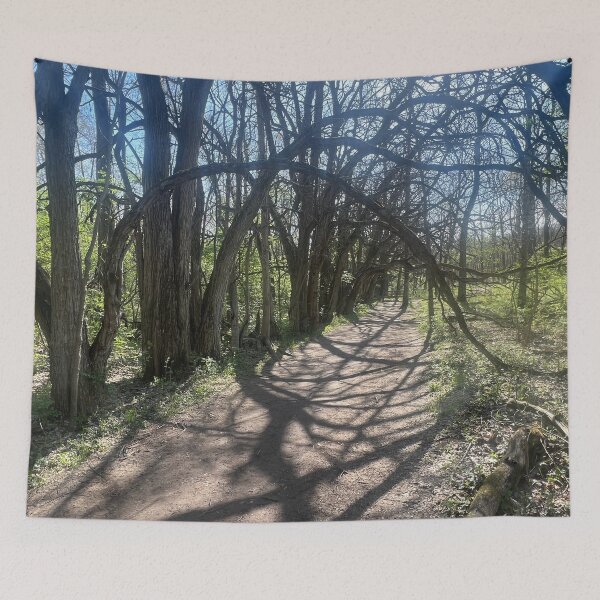 Item preview, Tree Tunnel designed and sold by Abeink1030.