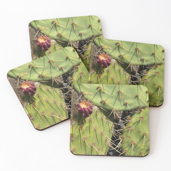 Item preview, Cactus fruit designed and sold by Artdianarada.