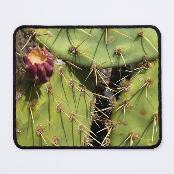 Item preview, Cactus fruit designed and sold by Artdianarada.