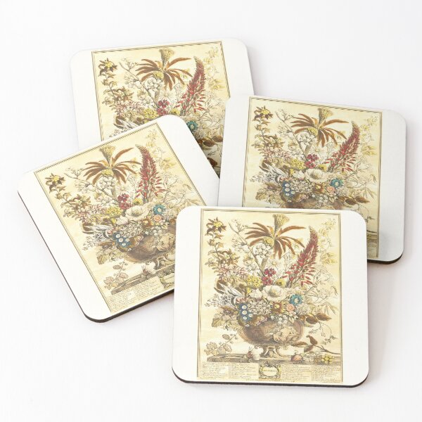 Item preview, December, from The Twelve Months of Flowers, by Robert Furber (1732) High definition designed and sold by MINDTHECHERRY.