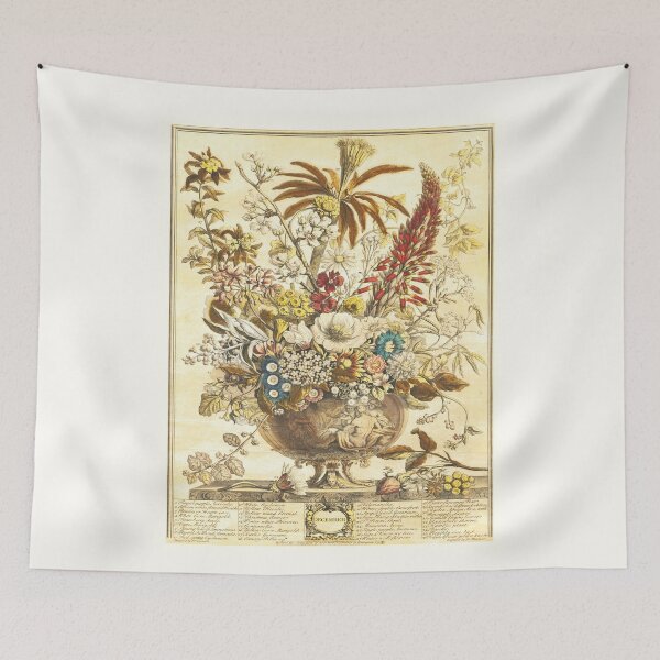 Item preview, December, from The Twelve Months of Flowers, by Robert Furber (1732) High definition designed and sold by MINDTHECHERRY.