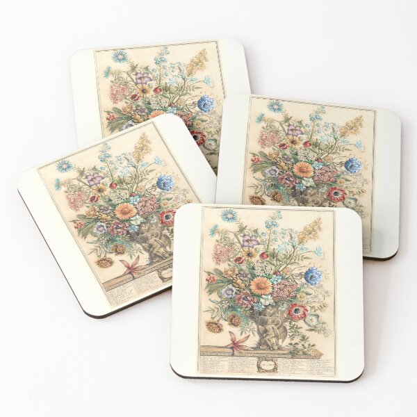 Item preview, November, from The Twelve Months of Flowers, by Robert Furber (1732) High definition designed and sold by MINDTHECHERRY.