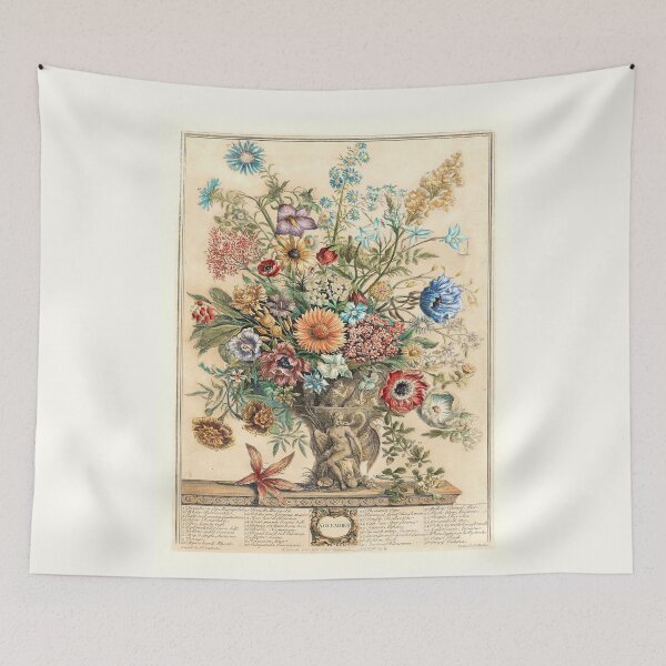Item preview, November, from The Twelve Months of Flowers, by Robert Furber (1732) High definition designed and sold by MINDTHECHERRY.