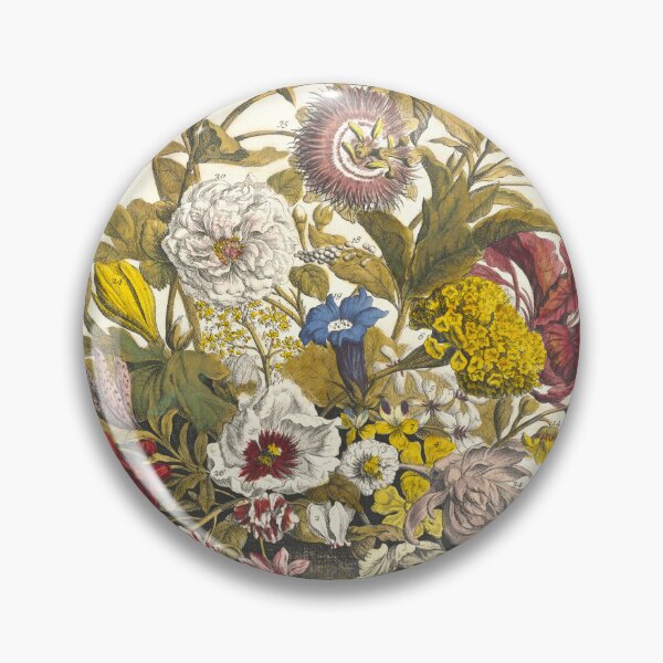 Item preview, September, from The Twelve Months of Flowers, by Robert Furber (1732) High definition designed and sold by MINDTHECHERRY.