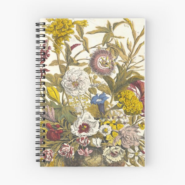 Item preview, September, from The Twelve Months of Flowers, by Robert Furber (1732) High definition designed and sold by MINDTHECHERRY.