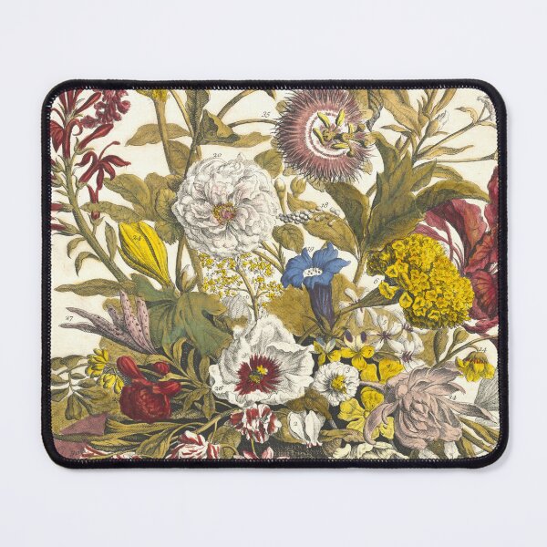 Item preview, September, from The Twelve Months of Flowers, by Robert Furber (1732) High definition designed and sold by MINDTHECHERRY.