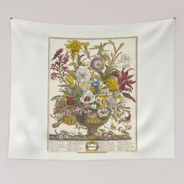Item preview, September, from The Twelve Months of Flowers, by Robert Furber (1732) High definition designed and sold by MINDTHECHERRY.