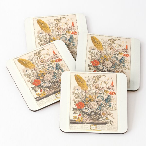 Item preview, August, from The Twelve Months of Flowers, by Robert Furber (1732) High definition designed and sold by MINDTHECHERRY.