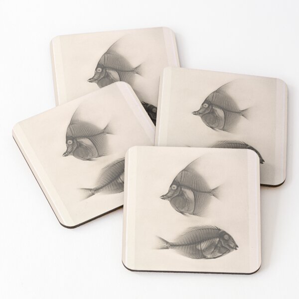 Item preview, X-rays of a Moorish idol and a Ringtail Surgeonfish   designed and sold by Amanda1775.
