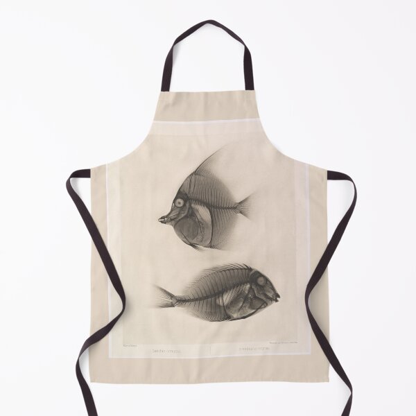 Item preview, X-rays of a Moorish idol and a Ringtail Surgeonfish   designed and sold by Amanda1775.