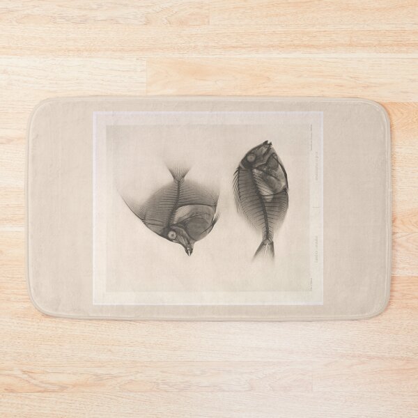 Item preview, X-rays of a Moorish idol and a Ringtail Surgeonfish   designed and sold by Amanda1775.