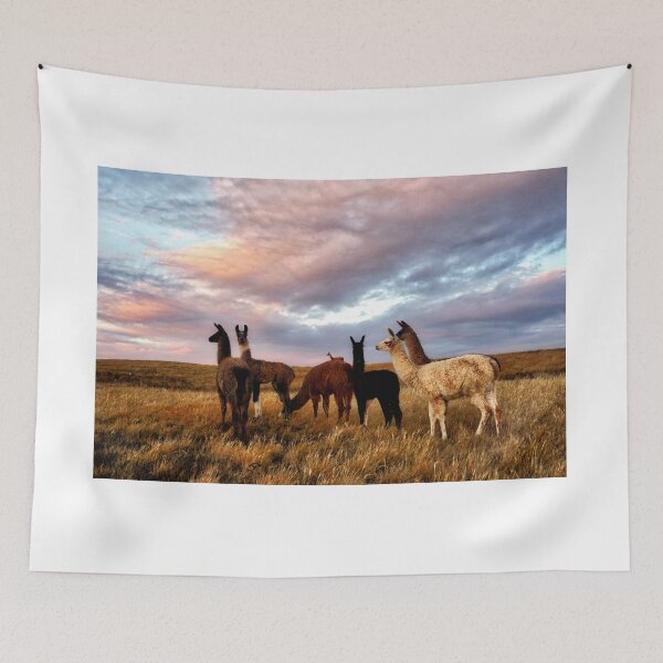 Item preview, Llamas en las praderas designed and sold by colorfulbundles.