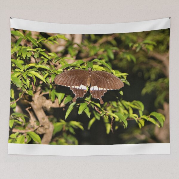 Item preview, Brown and white butterfly designed and sold by FranWest.