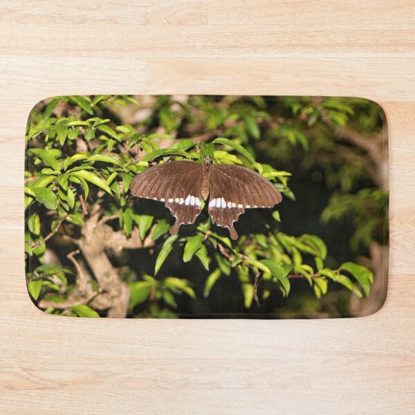 Item preview, Brown and white butterfly designed and sold by FranWest.