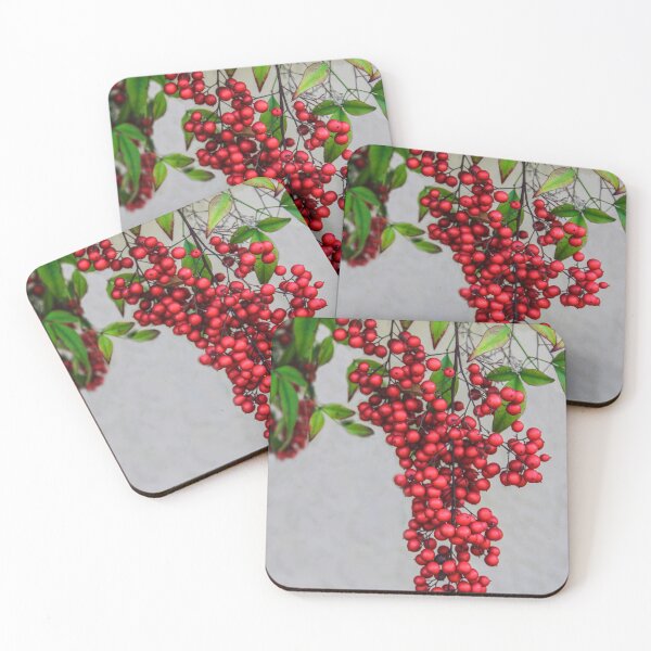 Artikelvorschau, Nandina-Beeren entworfen und verkauft von heatherfriedman.