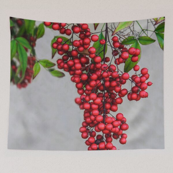 Item preview, Nandina Berries designed and sold by heatherfriedman.