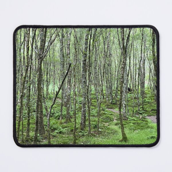 Item preview, Magical Glendalough designed and sold by Jimmy Larkin.