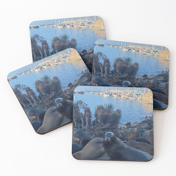 Item preview, Old Fisherman's Wharf Seals designed and sold by Jimmy Larkin.