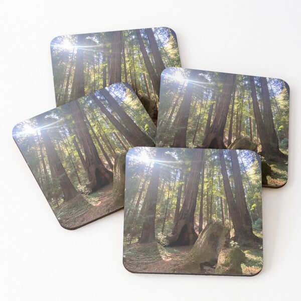 Item preview, Muir Woods designed and sold by Jimmy Larkin.
